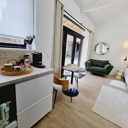 Апартаменты Confort Avec Wifi, Climatisation Et Parking Securise Pres De Lille - Fr-1-510-215 Saint-Andre-lez-Lille